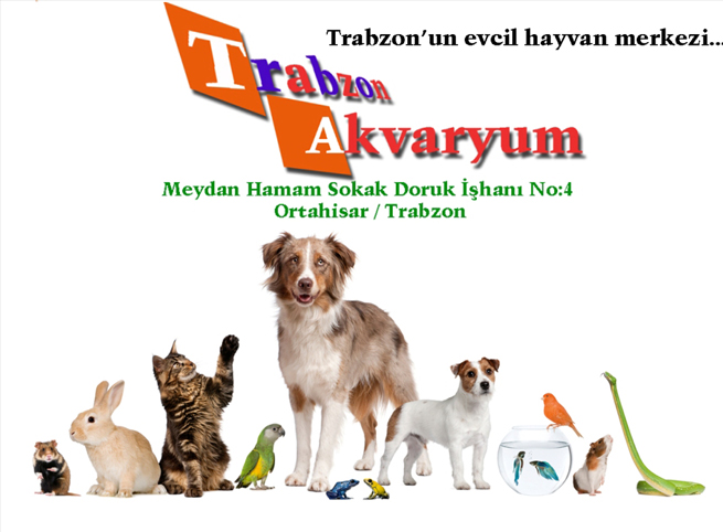 arkaplan1.jpg
